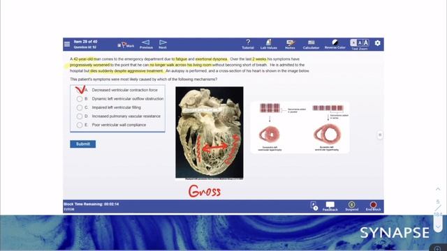USMLE Step 1 - How to study Pathology | Проверенные стратегии смотреть онлайн