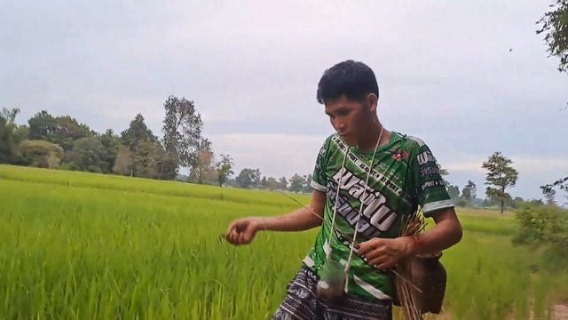 น้องดำกับเขอยกล้ามาใส้เบัดกบครับป้าลุงหม้านๆๆครับ смотреть онлайн