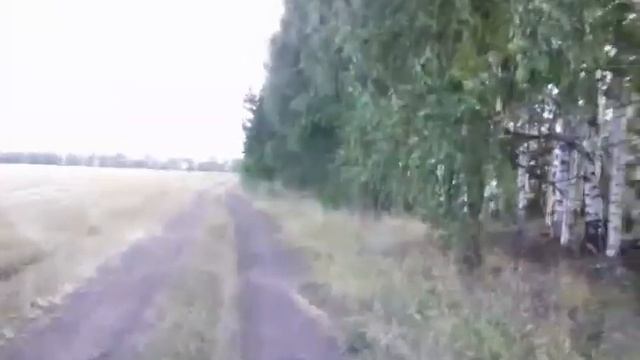 Как правильно собирать зерно в полях, бесплатно. смотреть онлайн