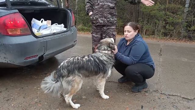 Хотим поделиться радостью! 4 года она жила у нас! А кто-то так никогда и найдёт это счастье!… смотреть онлайн