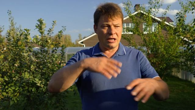 Обработка сада осенью   основные методы и препараты для успешной зимовки растений