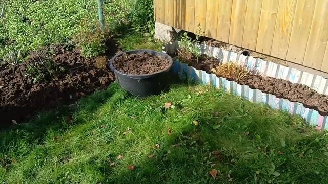 УБОРКА В САДУ ПРОДОЛЖАЕТСЯ ??????#садвцветах #осень #наводимпорядок #garden #flowers смотреть онлайн