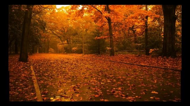 Московская осень 3 смотреть онлайн