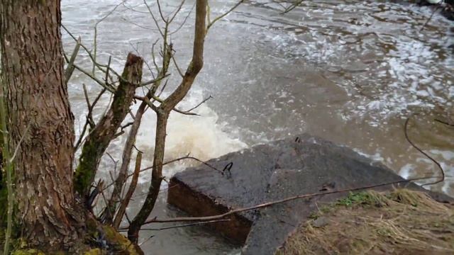 2023.03.26. Смоленский район. Вонлярово. Фонтан на озере.Часть 2. смотреть онлайн