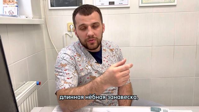 Брахицефалический синдром смотреть онлайн