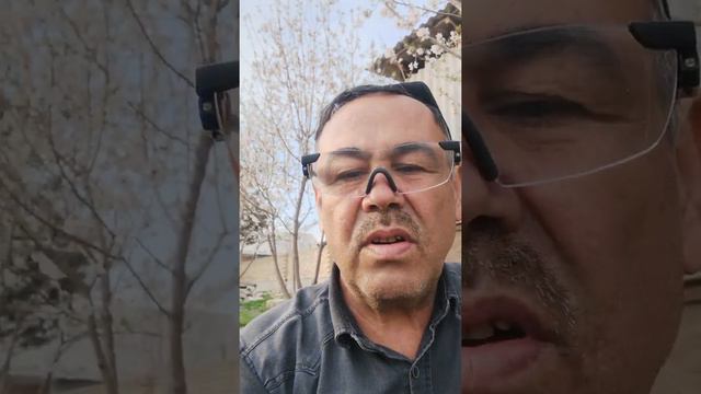 17-в (97 243 21 49) Биогумус тажрибаси тугрисида деконларимиз смотреть онлайн