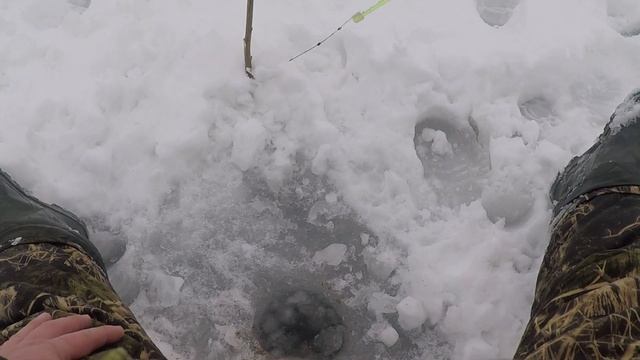 ВСЕ ТАКИ Я ЕЕ ПОЙМАЛ | ЗИМНЯЯ РЫБАЛКА НА ЖЕРЛИЦЫ И НА МОРМЫШКИ С МОТЫЛЁМ | ОПУСТИЛ КАМЕРУ ПОД ЛЁД . смотреть онлайн