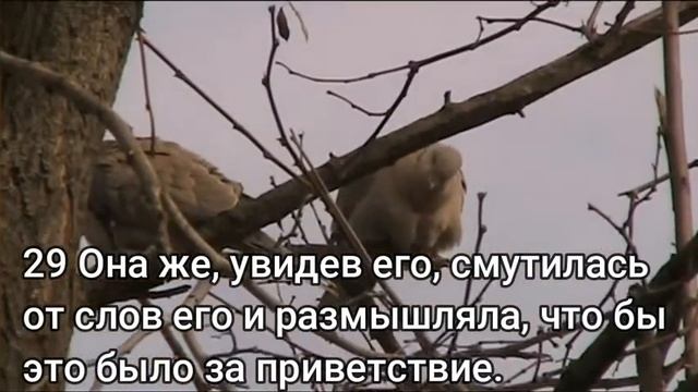 Что такое Благовещение? смотреть онлайн