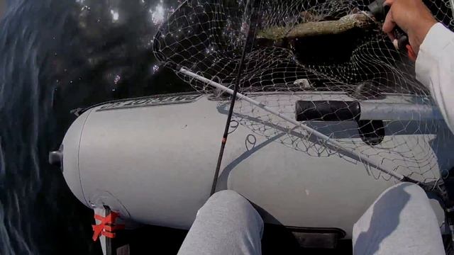 Ловля щуки с лодки. Спиннинг летом. Рыбалка на озере. Приманка на щуку. смотреть онлайн