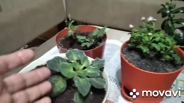 Советы по Уходу за Здоровьем