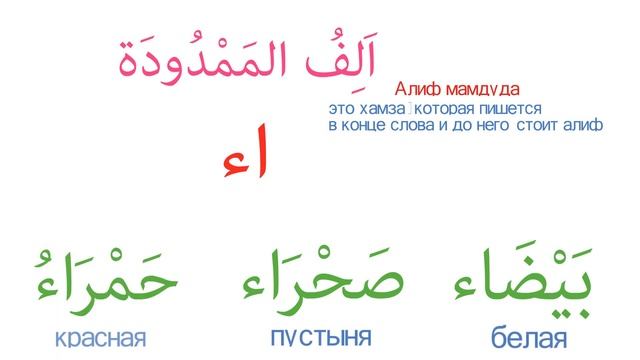 Грамматика Арабского языка УРОК № 4 Женский(مُؤَنََّث) и Мужской (مُذَكَّر) род в арабском языке смотреть онлайн