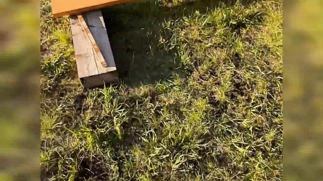 Забор своими руками | шахматка 2022 смотреть онлайн