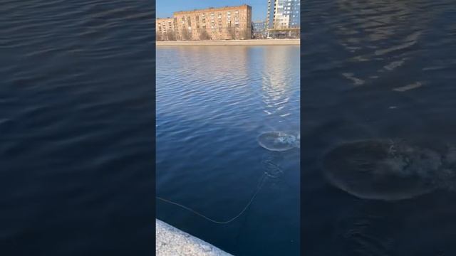 Непра покоряет Москву Реку смотреть онлайн