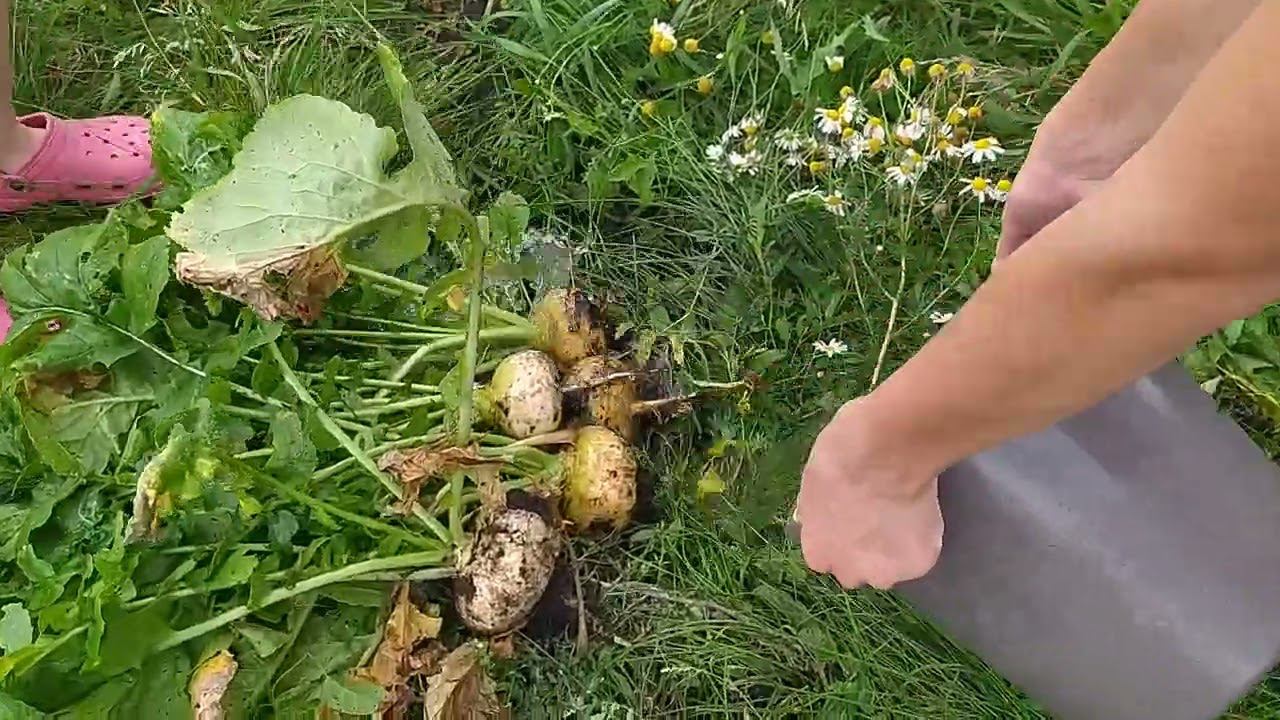 душ смотреть онлайн