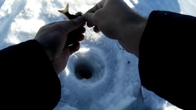 Подводная Камера для Зимней Рыбалки (Fishcam plus 700) – Тест Обзор смотреть онлайн