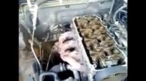 Ремонт двигателя GREAT WALL Hover 2.4л, часть 1