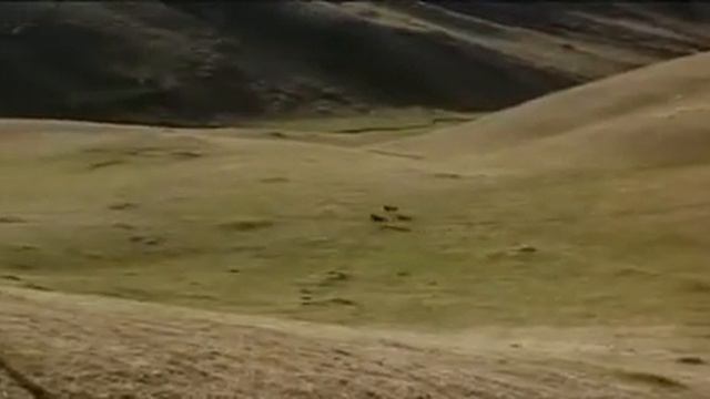 Хочу смотреть этот кино как найти смотреть онлайн