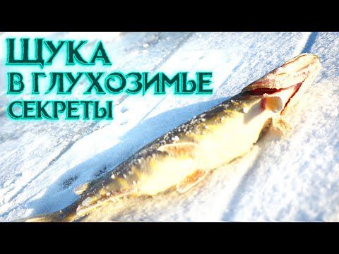 Как ловить щуку в конце зимы-начале весны со льда? Как на что и где ловить щуку зимой в глухозимье? смотреть онлайн