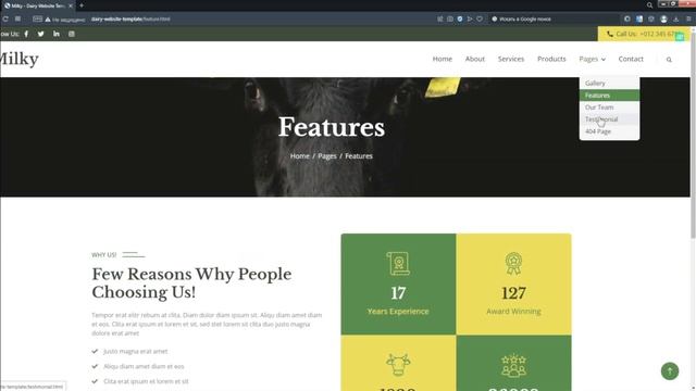 Website on local server смотреть онлайн