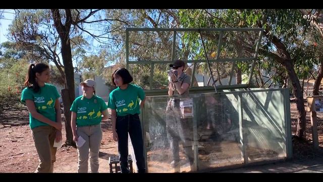 walkabout australia 2019 🇦🇺 sydney, nsw, taronga zoo • vlog смотреть онлайн