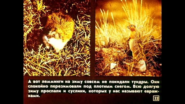 Диафильм Картины природы и труда на Крайнем Севере /по природоведению для 3 класса/ смотреть онлайн