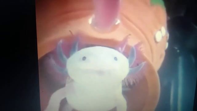 Аксолотль зажрался смотреть онлайн