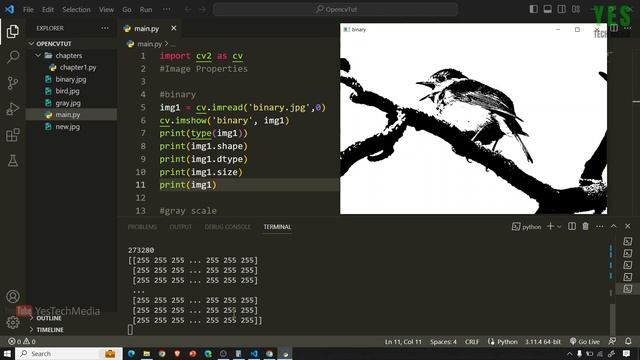 Image properties | OpenCV-Python Computer Vision | Malayalam Tutorial | Part-5 смотреть онлайн
