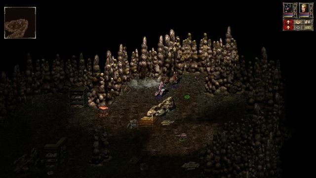 Beyond Divinity - #19 - Поддельные личи смотреть онлайн