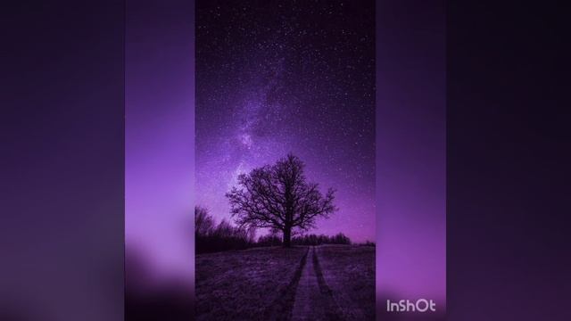 Али Саидов твои глаза смотреть онлайн