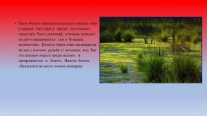 Болота, их осушение география 6 кл 1.mp4