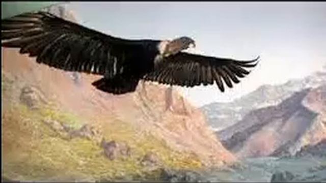 el condor pasa magic pan pipe смотреть онлайн