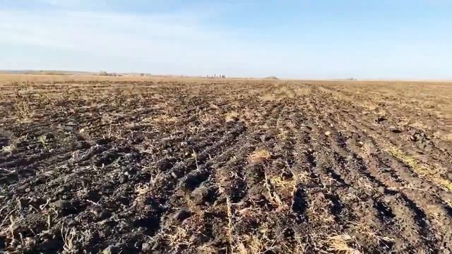 Конец арбузного сезона и начало уборки пленки. смотреть онлайн