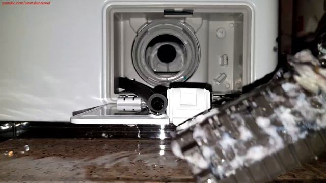 LG Washer Dryer Inverter Direct Drive 8/5 Kg F4J6TM0W: Cleaning the Drain Pump Filter смотреть онлайн