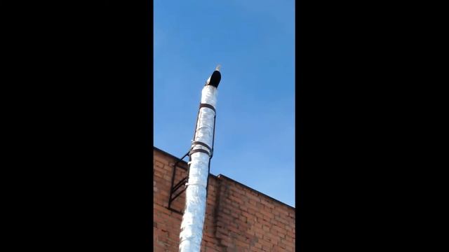 Дым от буржуйки смотреть онлайн