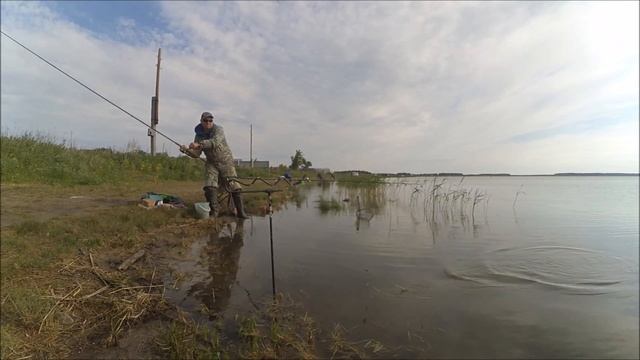 Ловля карася в Еткульском р-не Челябинской области в июне 2017 смотреть онлайн
