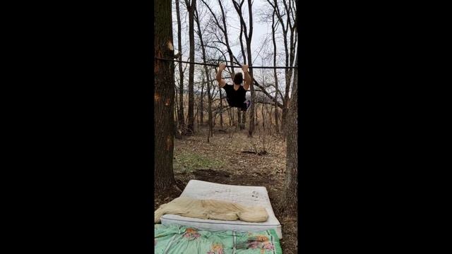 Сделали турник на дереве?? #воркаут #streetworkout #workout #паркур #спорт