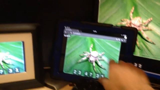 Controlling Your Raspberry Pi Picture Frame using webapp and websockets смотреть онлайн