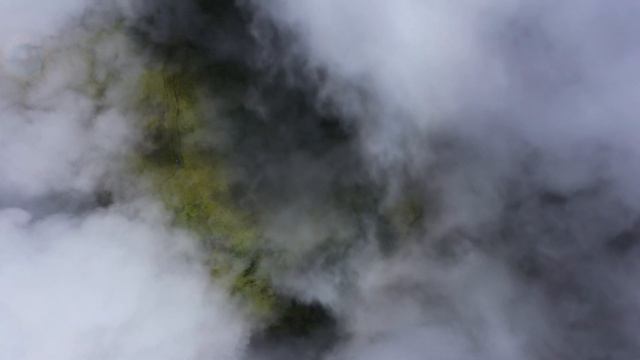 Dan Gibson’s Solitudes - Chasing the Clouds | Forest Piano смотреть онлайн