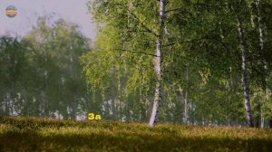 Березовая Русь... Песня на стихи Сергея Есенина Хулиган.