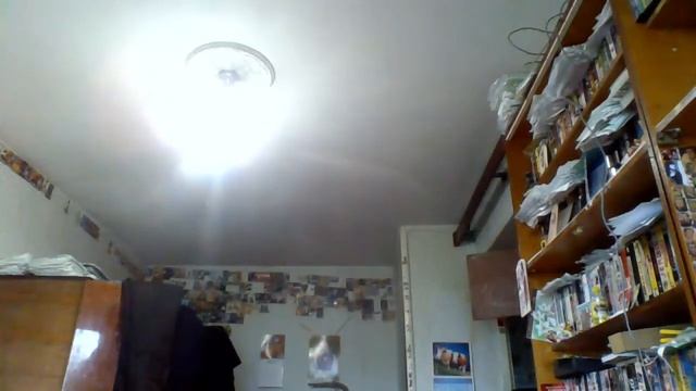 9 стихотворений Тимофея Белозёрова. смотреть онлайн