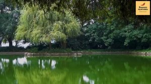 Рассказ мужчины | Измена жены. Жестокие разборки с любовником. Зверская месть мужа. История Часть 3