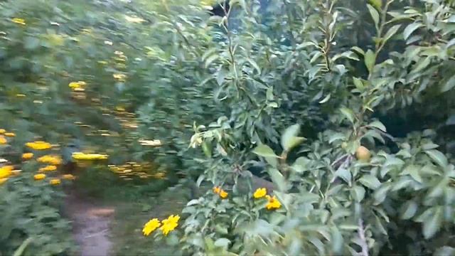 Гараж из профнастила своими руками (Обзор) смотреть онлайн
