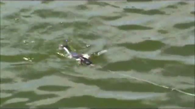 H2O Tackle The Creepy Ortin смотреть онлайн