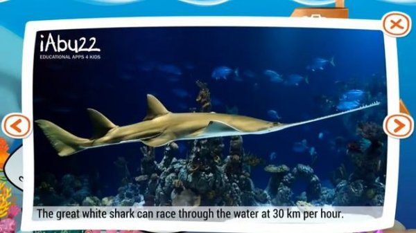 Aquatic Animals Dots Game for Kids