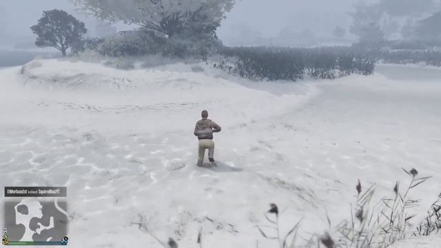 GTA Online And Red Dead Redemption 2 - secret revolver quest EASY!!