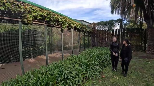 【5K】Recorriendo TEMAIKEN, PASEO (2da parte ) Walking Tour 2023 Escobar Buenos Aires | ARGENTINA vlo смотреть онлайн