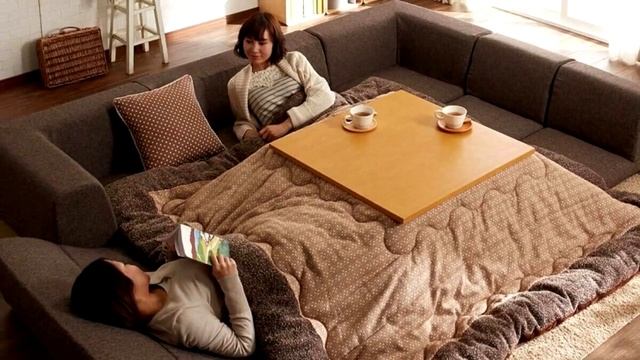 Что такое - КОТАЦУ, или почему в Японии нет отопления?! / ТОП 1 смотреть онлайн
