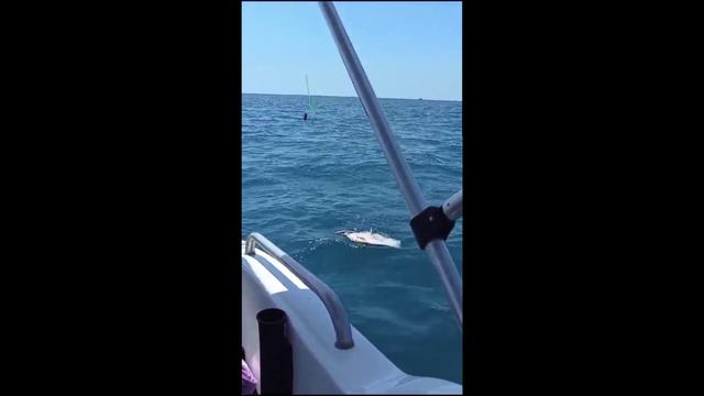 Трофейная рыбалка в Сочи. Дети ловят огромных скатов. смотреть онлайн