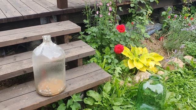 Как отмыть большой бутыль для вина. смотреть онлайн