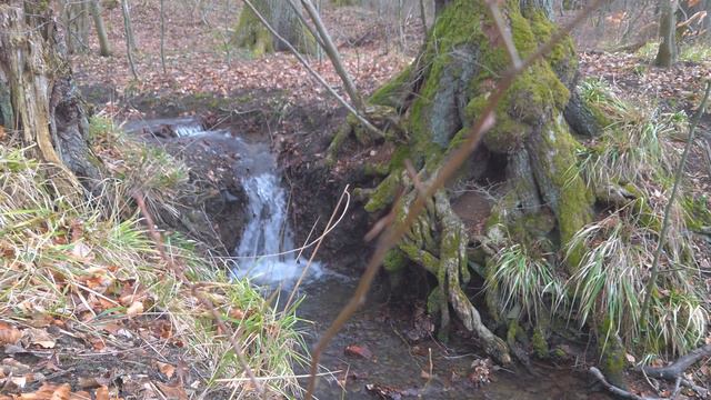 Звуки природы. Шумный ручей (4k) смотреть онлайн